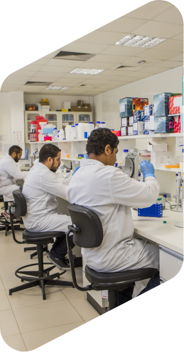 Laboratório de pesquisa com 4 pesquisadores. Três deles estão trabalhando sentados e um, em pé.