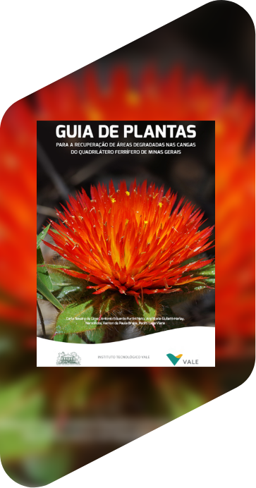 Capa do “Guia de Plantas – Para a recuperação de áreas degradadas nas cangas do quadrilátero ferrífero de Minas Gerais”. Há uma flor grande de cor laranja com folhagem verde.