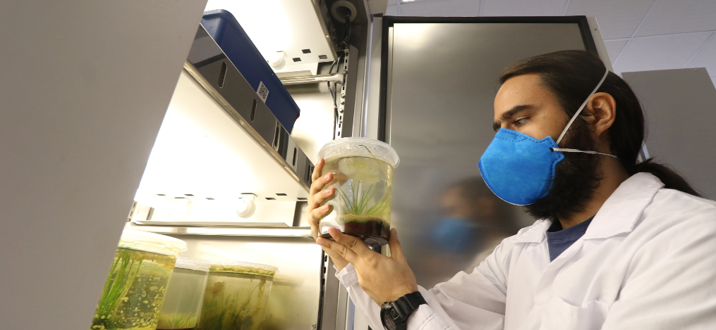 Homem, de máscara azul e jaleco branco, observa um recipiente que contém uma substância escura. Ele está em um laboratório.