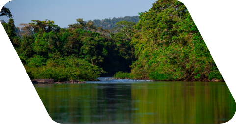 Fotografia de um rio com vegetação ao fundo.