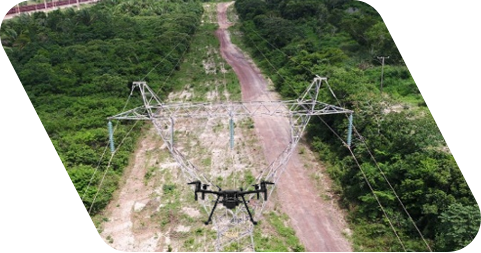 Imagem de um robô móvel aéreo sobrevoando a um espaço com ampla vegetação.