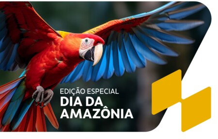 Imagem do card